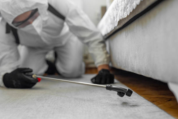 Professional Bed Bug Control technician working in Andalusia, AL
