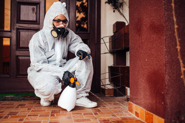 Reliable Bed Bug Control contractor in Andalusia, AL by Nex Pest Control